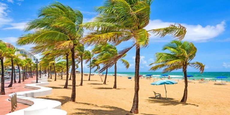 Crowne Plaza Ft. Lauderdale Airport/Cruise by IHG