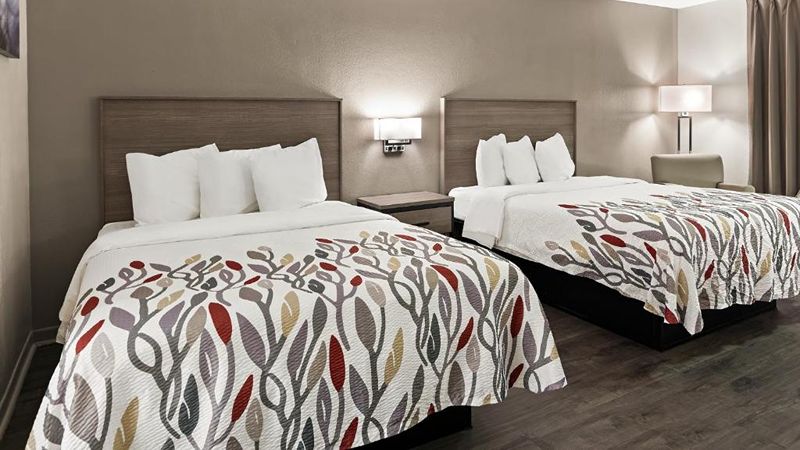Red Roof Inn & Suites Monroe, NC, room with private jacuzzi, photo 3