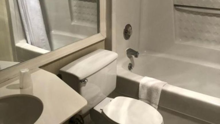 Econo Lodge Metro