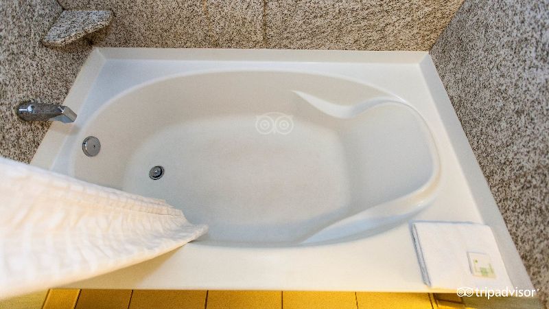 Edgewater Hotel and Waterpark, room with private jacuzzi, photo 5