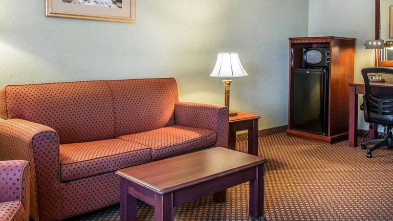 Quality Inn & Suites Ann Arbor Hwy 23