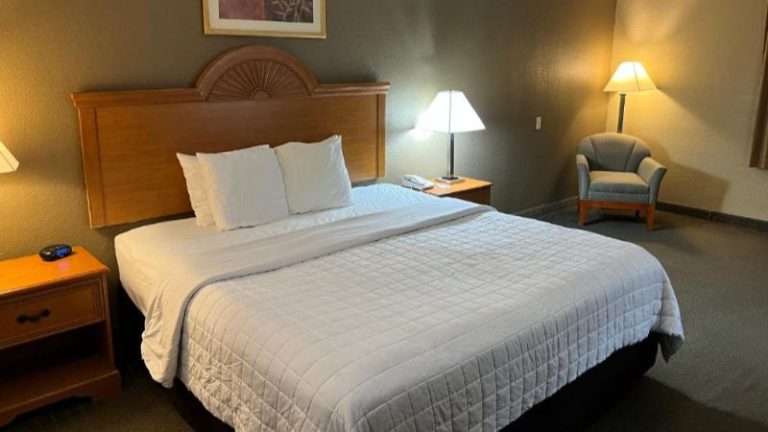 Americas Best Value Inn Pharr