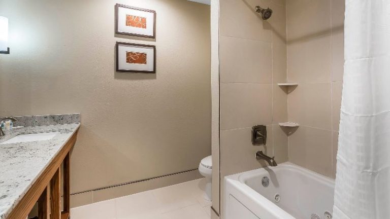 Comfort Suites University