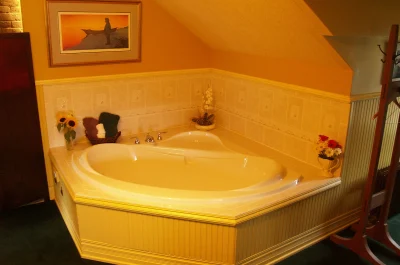 Alaska's Capital Inn Bed and Breakfast 2