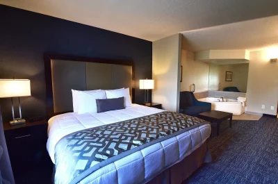 Best Western Plus Flint Airport Inn & Suites Best Western Plus Flint Airport Inn & Suites
