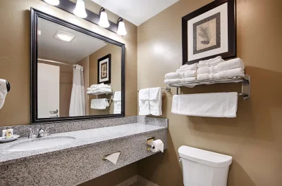 Best Western Plus Layton Park Hotel 2
