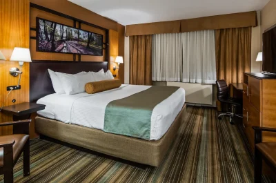 Best Western Queens Gold Coast