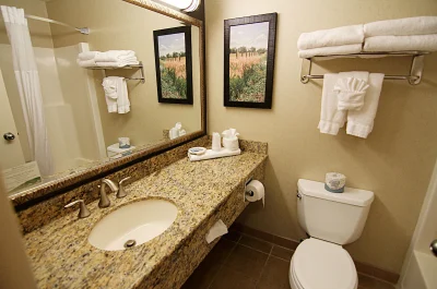 C'mon Inn Hotel & Suites 3