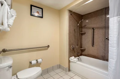 Comfort Inn Kissimmee-Lake Buena Vista South 3