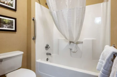 Comfort Inn Meadowlands 1