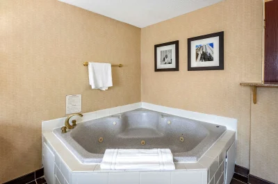 Comfort Inn Meadowlands 2