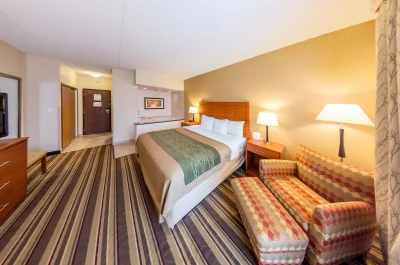 Comfort Inn Metro Airport Romulus 3