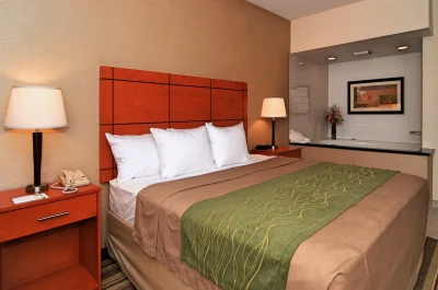 Comfort Inn Metro Airport Romulus 4