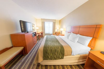 Comfort Inn Metro Airport Romulus