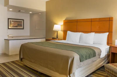Comfort Inn Metro Airport Romulus jacuzzi