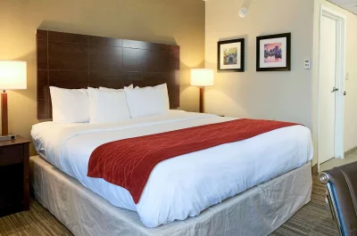 Comfort Inn & Suites East Hartford