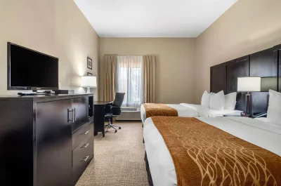 Comfort Inn & Suites Galleria 2