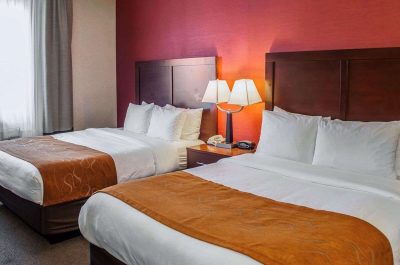 Comfort Suites NE Indianapolis Fishers 3