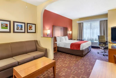 Comfort Suites - Near The Galleria 1