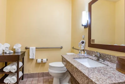 Comfort Suites - Near The Galleria 2