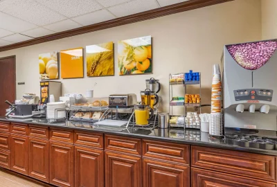 Comfort Suites - Near The Galleria 4