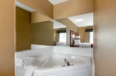 Comfort Suites Southfield 5