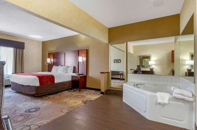 Comfort Suites Southfield jacuzzi