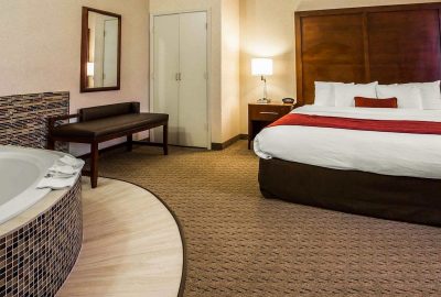 Comfort Suites Stafford Near Sugarland 2