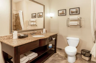 Comfort Suites Troy-I75 3