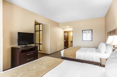 Comfort Suites West of the Ashley 2