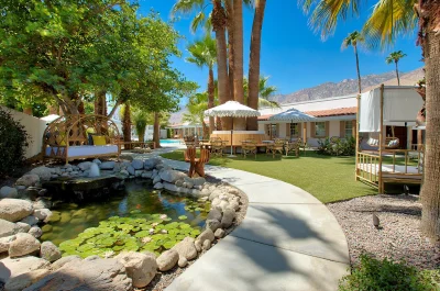 Dive Palm Springs 1