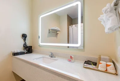 Econo Lodge Inn & Suites Houston Willowbrook 2