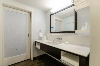 Hampton Inn Brighton Mi 2