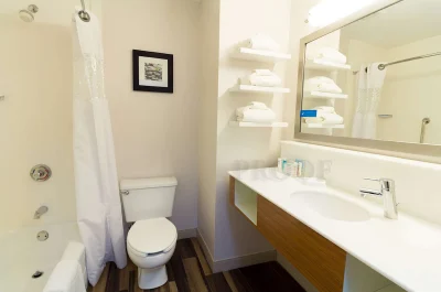 Hampton Inn Sevierville 2