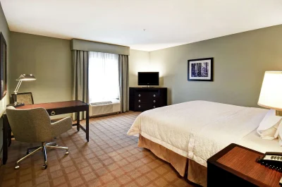 Hampton Inn & Suites Detroit-Canton 7