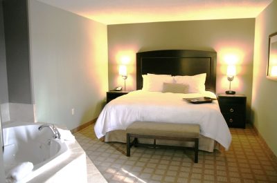 Hampton Inn & Suites Detroit-Canton 8