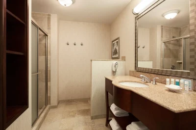 Hampton Inn & Suites Washington-Dulles International Airport 3