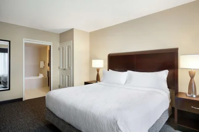 Hilton Garden Inn Atlanta Downtown jacuzzi