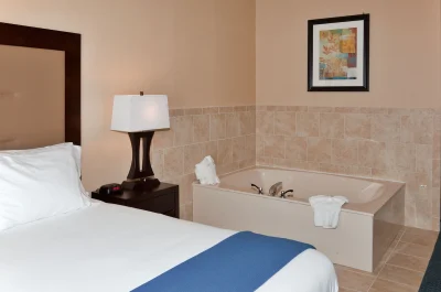 Holiday Inn Express Hotel & Suites - Novi 1