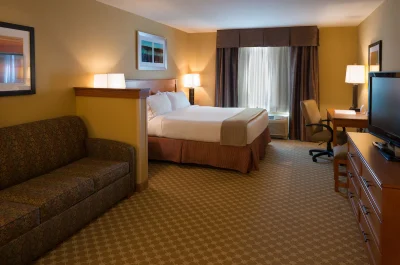 Holiday Inn Express & Suites Chicago West-Roselle, an IHG Hotel 1