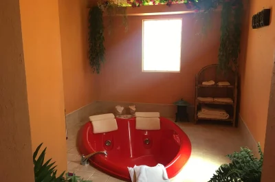 Shady Lady Bed and Breakfast jacuzzi