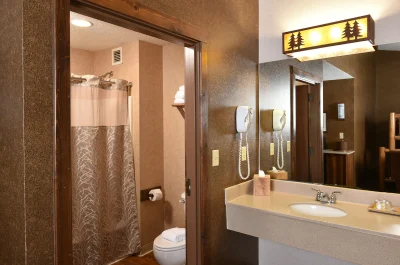 Stoney Creek Hotel Des Moines - Johnston 4