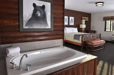 Stoney Creek Hotel Kansas City - Independence jacuzzi 1