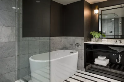 Viceroy Washington DC jacuzzi