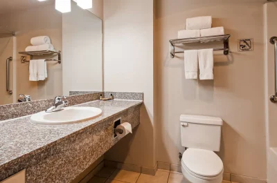 best Western PLUS Memorial Inn 4